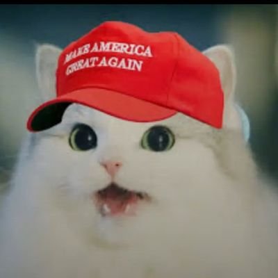 ULTRA MAGA MAHA Pureblood! * TRUMP/VANCE *MAKE THE MEDIA TELL THE TRUTH AGAIN!
