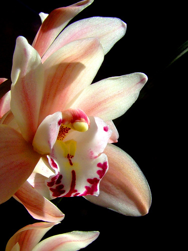 heavenlyhealth7's profile picture. 