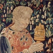 raretapestries's profile picture. incrementally working my way across the dunning-kruger graph