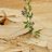 basmat_leqa's profile image