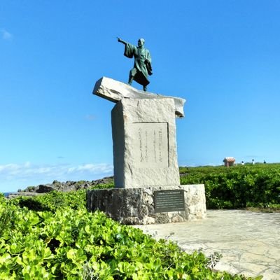 かめ元素さんのプロフィール画像