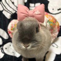 yy (@yy75772543) 's Twitter Profile Photo yy (@yy75772543) 's Twitter Profile Photo