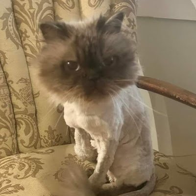 TaskerKyli2672's profile picture. 