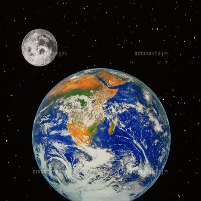 kimkimlife's profile picture. 