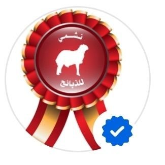 نشمي للذبائح توفر لكم جميع انواع الاغنام البلدي حري نعيمي نجدي تيوس حاشي والتوصيل داخل الرياض مجانا وبسيارات مبرده حديثه للطلب 0536255545 او حمل التطبيق