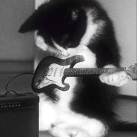imꉂꉂ(ᵔⰙᵔ⠕) (@coffechane) 's Twitter Profile