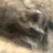 szmgm_'s profile image