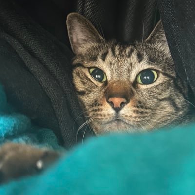 vdWECrAs3H80973's profile picture. 