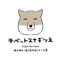 テラのバッカルコリドーに住みたい (@baccal_corridor) 's Twitter Profile