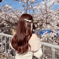 るる🩷高配当株メイン💹 (@sidefire3000) 's Twitter Profile