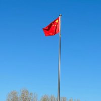 Fake (@jamlin998) 's Twitter Profile