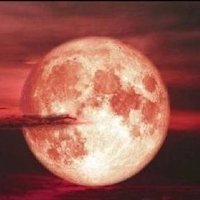 ็ฆ
ใผใใชใฐใฎ็ฝๅ
(@zvaqgu7cmc90815) 's Twitter Profile Photo ็ฆ
ใผใใชใฐใฎ็ฝๅ
(@zvaqgu7cmc90815) 's Twitter Profile Photo