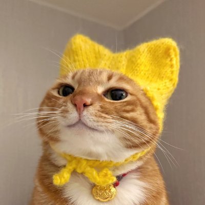 sparkingwateru's profile picture. see you next Monday.