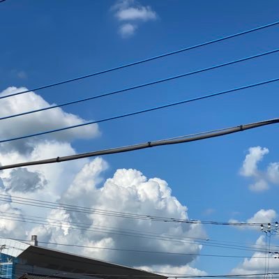 aozor_0325's profile picture. 法政大学 経営学部 #melc