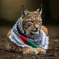 David🚩🇵🇸☠(@davidc_1907) 's Twitter Profile