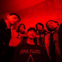 The Melting Minds (@themeltingminds) 's Twitter Profile