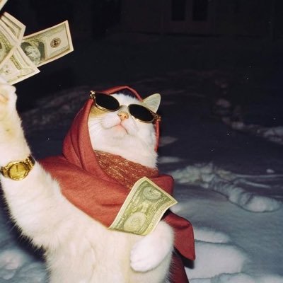 ttest_321's profile picture. 