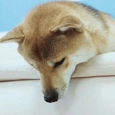 扫链狂魔 | 9号@GoldenPepeCabal | shill me the next 100000000x | 内盘不出本 | 纯正的p小将 | @0xUClub