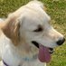 Orla's Mum (@orlasmum1) Twitter profile photo Orla's Mum (@orlasmum1) Twitter profile photo