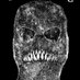 Human Taxonomy NYHC (@humantaxonomy) Twitter profile photo Human Taxonomy NYHC (@humantaxonomy) Twitter profile photo