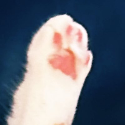 ra_aca_mo_121's profile picture. ずとまよ 🦔🎖ミセス 🍏🎖最近リョクシャカ🥦