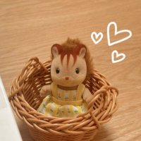 ぴぴ🐿️🥜 (@pipi_sylvanian) 's Twitter Profile