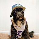 KamalMadia69019's profile picture. İstanbul´u dinliyorum.