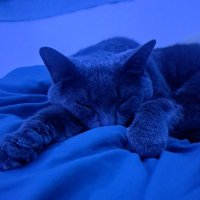 Tiggler4046 🌸 (@tigger4046) 's Twitter Profile