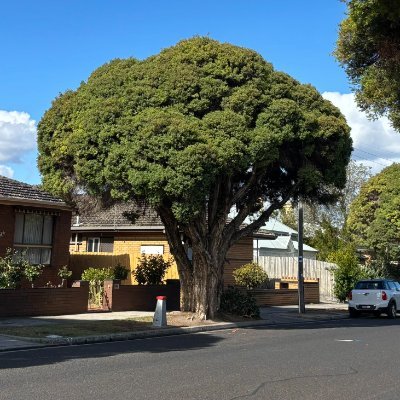 ToroxkX's profile picture. OMG