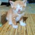 Galih Pradana (@galih_prad12893) Twitter profile photo Galih Pradana (@galih_prad12893) Twitter profile photo