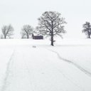 Thomas Willis - @ThomasWill86687 - Twitter