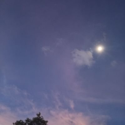 copyleft178's profile picture. 