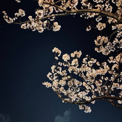 0eRr0yOdTwtuAub's profile picture. ロードバイク、ラパンss(MT)乗りの25の人。 ジャパン峠プロジェクト(JTP)のステッカー集めに目覚めた人。いつかインプレッサgc8に乗りたい憧れがある人。アニメ好きな人。