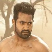 Tigerholiccc.... (@yashreddy0) 's Twitter Profile