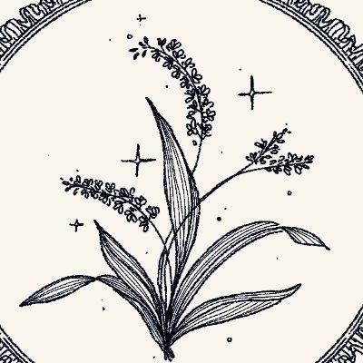 CHICHI /CMS open 🛒さんのプロフィール画像