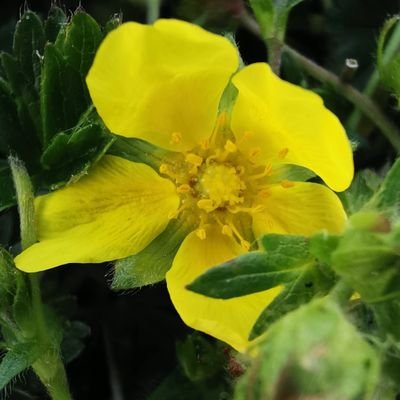 DavidBougeard's profile picture. Carpe diem.