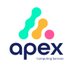 Apex Computing Services (@apex_computing) Twitter profile photo