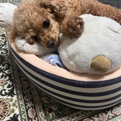 Zemirtukw's profile picture. @長岡ゼミ 2年