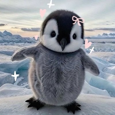 ZeenatP28610221's profile picture. 