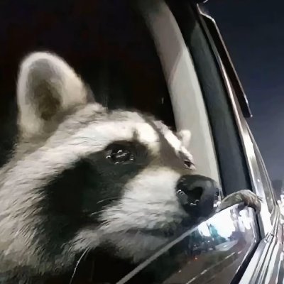 yi_ni12386's profile picture. 