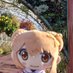 けんたろ🍡にゃる (@kntr919) Twitter profile photo けんたろ🍡にゃる (@kntr919) Twitter profile photo