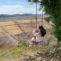 もちこし (@_61996) 's Twitter Profile