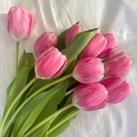 Fatima Zahrae (@e94797469) 's Twitter Profile Photo