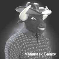 metamasmkgalax's profile picture. Sky based web 3 start up!