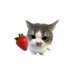 Nat (@nat531913636132) Twitter profile photo Nat (@nat531913636132) Twitter profile photo