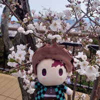 ぴのこ. (@turnpowder) 's Twitter Profile Photo ぴのこ. (@turnpowder) 's Twitter Profile Photo