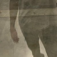 oreeo (@oreeo_oo) 's Twitter Profile