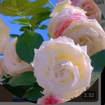 BundaNurul81572's profile picture. 