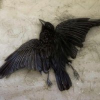 nihil (@39eden) 's Twitter Profile