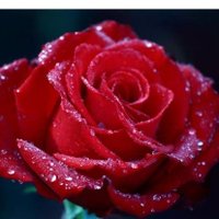 Betty (@betty959868098) 's Twitter Profile Photo Betty (@betty959868098) 's Twitter Profile Photo